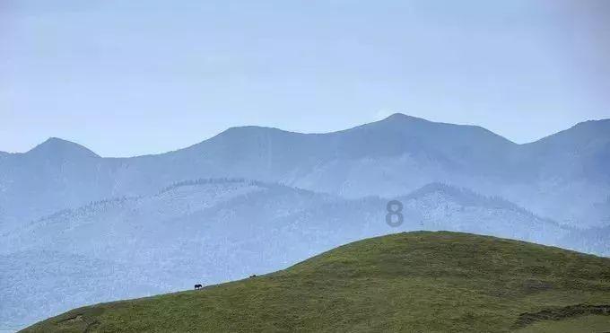 【问政问需在基层】罗治章代表：当好村庄“家长” 志愿陪送老人看病